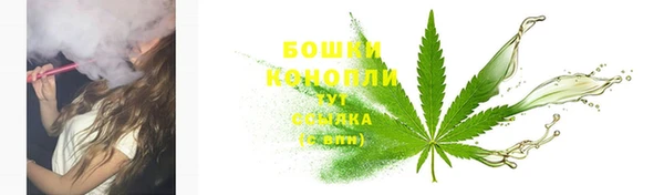 PSILOCYBIN Абаза