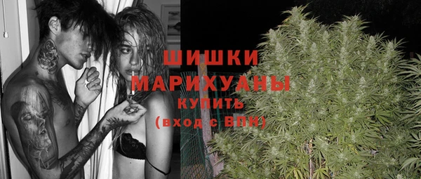 PSILOCYBIN Абаза