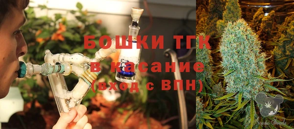 PSILOCYBIN Абаза