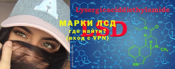 МДПВ Инсар