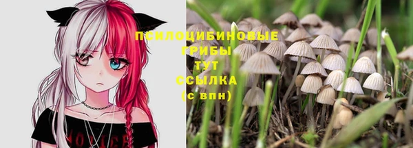 гашиш Абинск